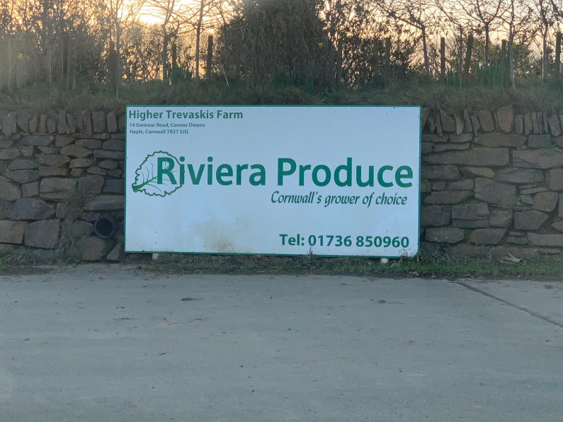 MicrosoftTeams image 4