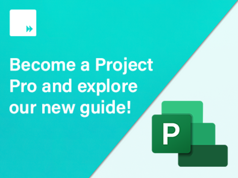 Project Professional